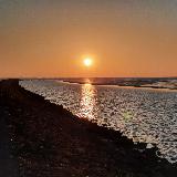 Reino Steegstra